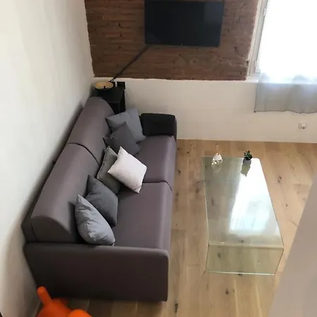 De 20m2 En Hypercentre De Apartament Tuluza