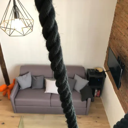 Apartament De 20m2 En Hypercentre De Tuluza