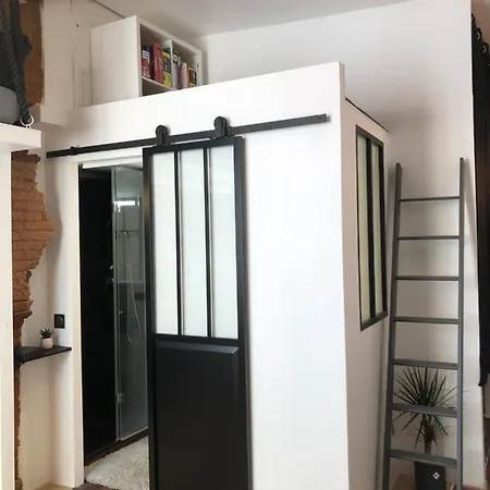 De 20m2 En Hypercentre De Apartament Tuluza