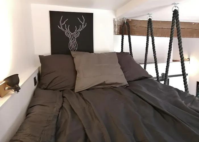 De 20m2 En Hypercentre De Toulouse