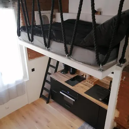 Appartement De 20m2 En Hypercentre De Toulouse