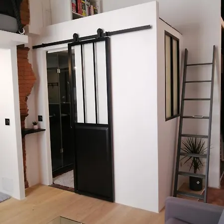 De 20m2 En Hypercentre De Toulouse