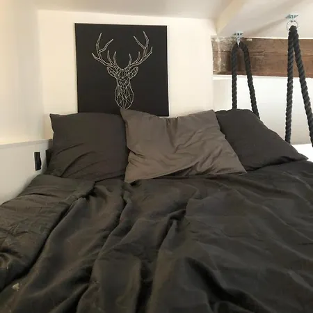 De 20m2 En Hypercentre De Apartment Toulouse