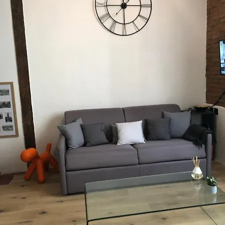 De 20m2 En Hypercentre De Lejlighed