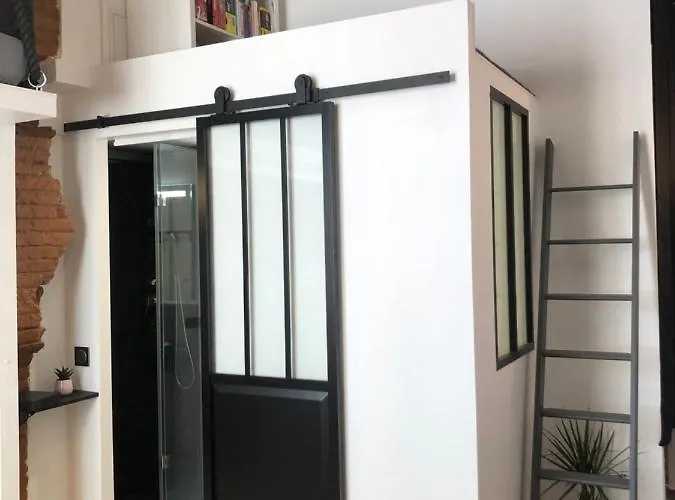 De 20m2 En Hypercentre De Lejlighed Toulouse